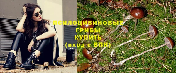шишки Абдулино