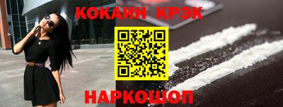 крисы Кингисепп