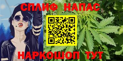 крисы Кингисепп