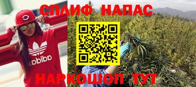 крисы Кингисепп