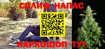 крисы Кингисепп