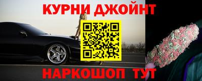крисы Кингисепп