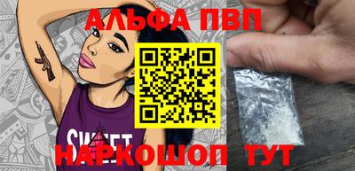 крисы Кингисепп