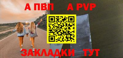 крисы Кингисепп