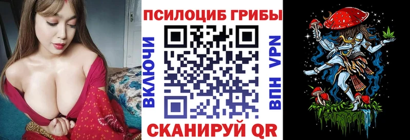 Псилоцибиновые грибы мухоморы  Курчатов 